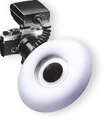 olymringflas1.jpg