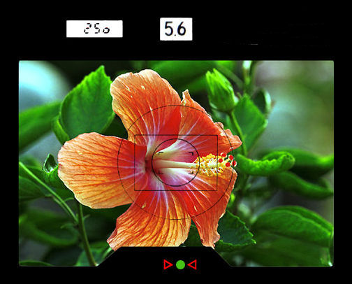 F3AF Focusing.jpg (55k) Loading...
