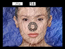 f3viewinfojen.jpg 98k) Loading..