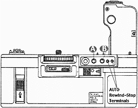 md4backillus.gif