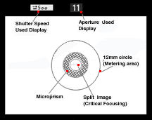 viewinfosml.jpg (7k) Loading..