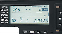 MF23display.jpg