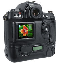 d1backview.jpg