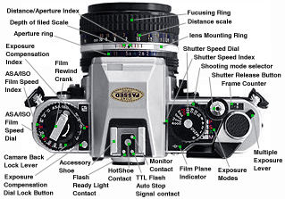 Nikon FA Top View.jpg (23k)