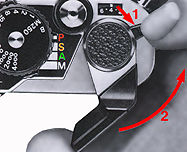 Double Exposure.jpg (10k)