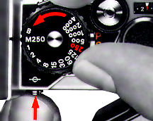 M250 setup.jpg (13k)