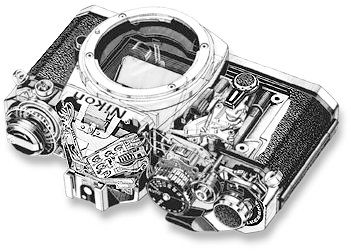 Cut Out body.jpg (27k) Wait for downloading...