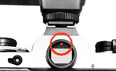 Ready Light.jpg (7k)