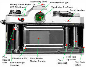FE Back View.jpg (21k)