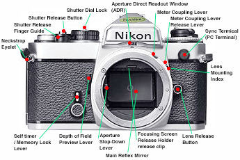 FE Front View.jpg (18k)