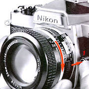 Rlease Lens.jpg (7k)