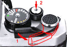 Shutter release.jpg (12k)