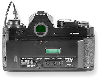 FE with MF-12.jpg (18k)