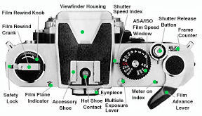 FM top view.jpg (18k)