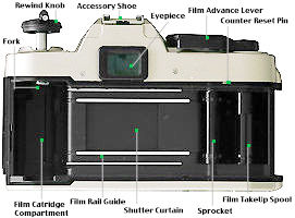 Back View.jpg (15k) Loading...