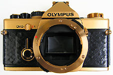 Gold_OM2n_Top15sml.JPG