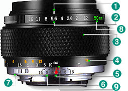 ZUIKO Illus.jpg