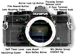 Frontview.jpg (13k) Loading...