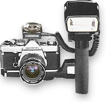 AUTO310.gif