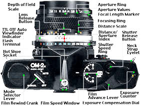 maptopview.jpg (23k) Loading...