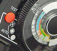 310section.jpg