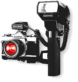 old310flash.jpg