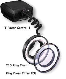 macroflash5.jpg