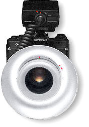 flashring.jpg