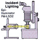 lightSetup1.jpg