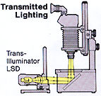 lightSetup2.jpg