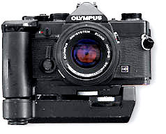 MD-1.jpg (12k) Loading..