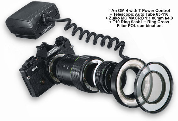 80mmflasht10setup.jjpg (42k) Loading ...