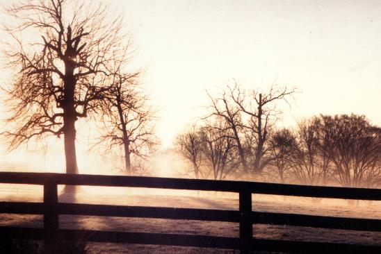 Morning has broken ....  by Rick Oleson.