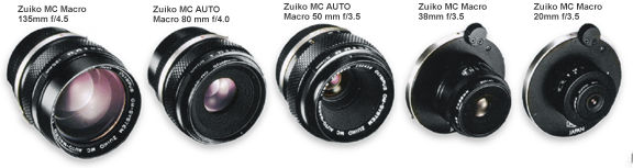 macro1983.jpg (28k) Loading ..