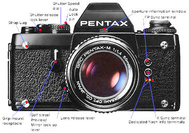 LX front.jpg (36k)