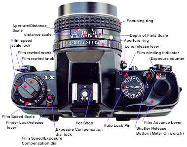 LX top view.jpg (36k)