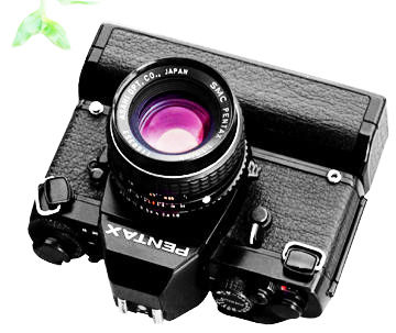 Camera down view.jpg (27k) big.. with nice.