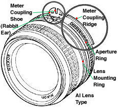 AI lens Illus.jpg (7k)