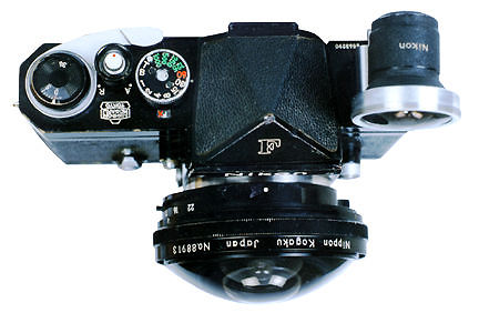 8mm Fiseyes.jpg