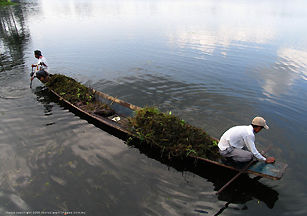 Photo of mornng cleanng at Inya Lake, Dusit Inya-lake Hotel Resort, Rangoon, Burma