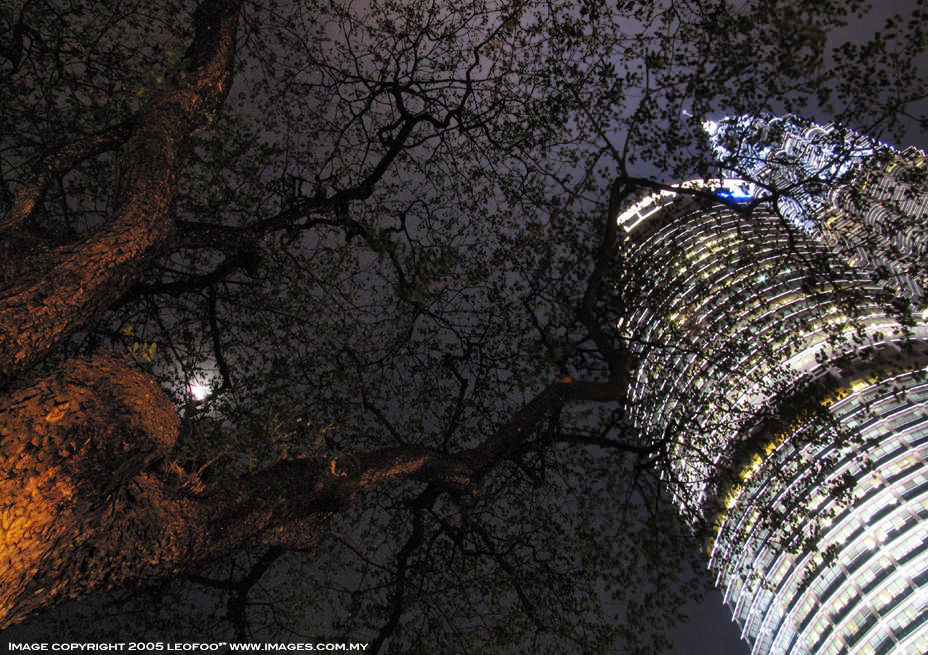 A night photo of KLCC, Maxis building with the rising Moon & the rain trees...
