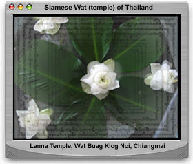 A Lanna Stype Temple, Chiangmai, Thailand