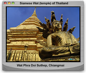 Various exciting old Buddha Image at Wat Phra  Doi Suthep Buddhist temple, Chiangmai, Thailand
