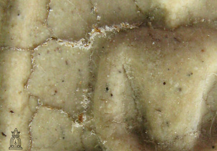 Enlarge view of details on a High quality, genuine Soomdet / soomdej Wat Rakang Buddhist amulet