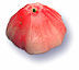 Jambu