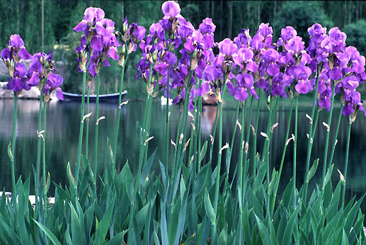 Now, this is the one I liked best,.... 64k, Loading...........