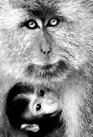 40k  Loading...............