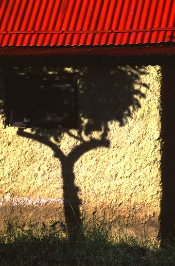 This picture is a little abstract .... 63k  loading...