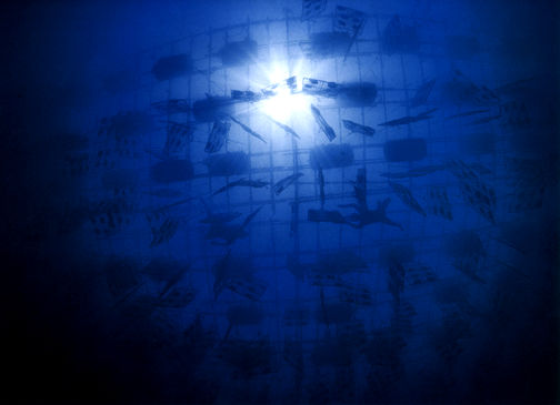 Pearl farm.jpg (22k)