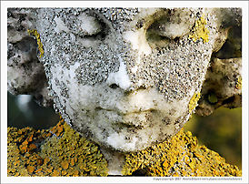 detail macro /close up of a marble statue